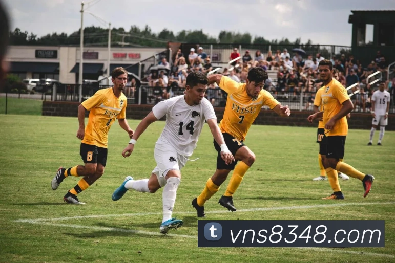 多媒体互动体验